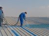 شركة عزل شينكو